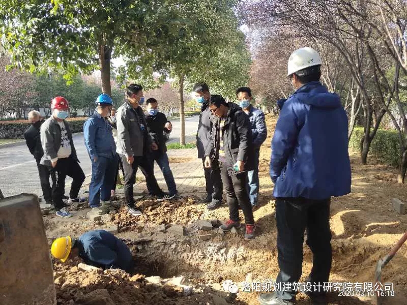 1589958359110802.jpg 640.webp (2).jpg