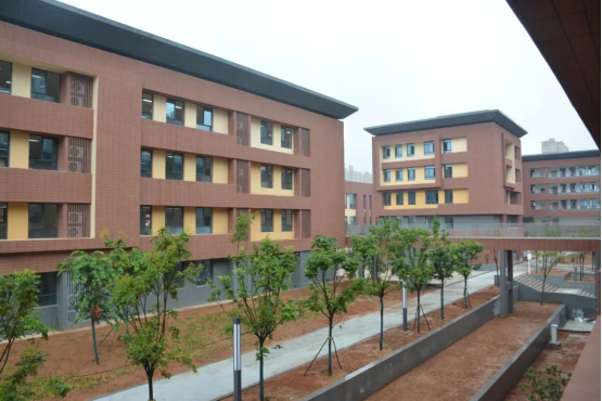 1693190503765105.png 圖片.png