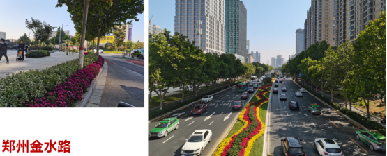 1693965521402390.png 圖片.png