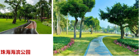 1693965572235383.png 圖片.png