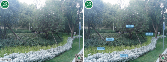 1693965776110639.png 圖片.png